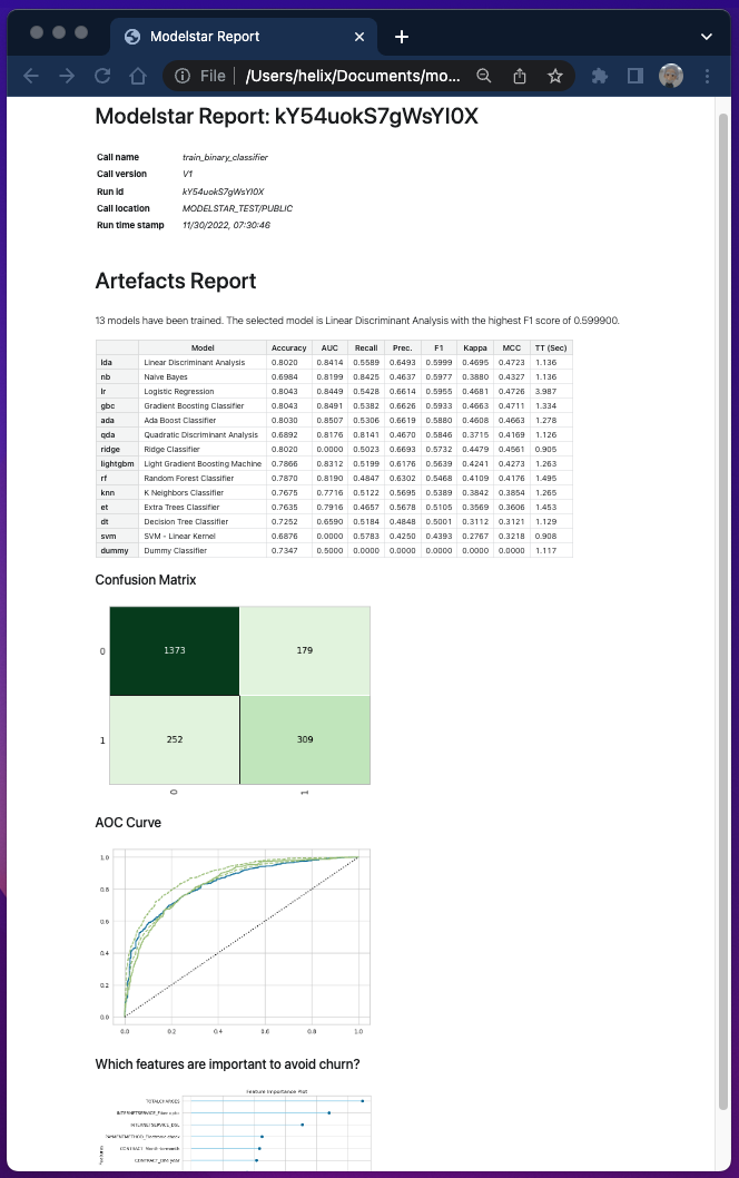 model report